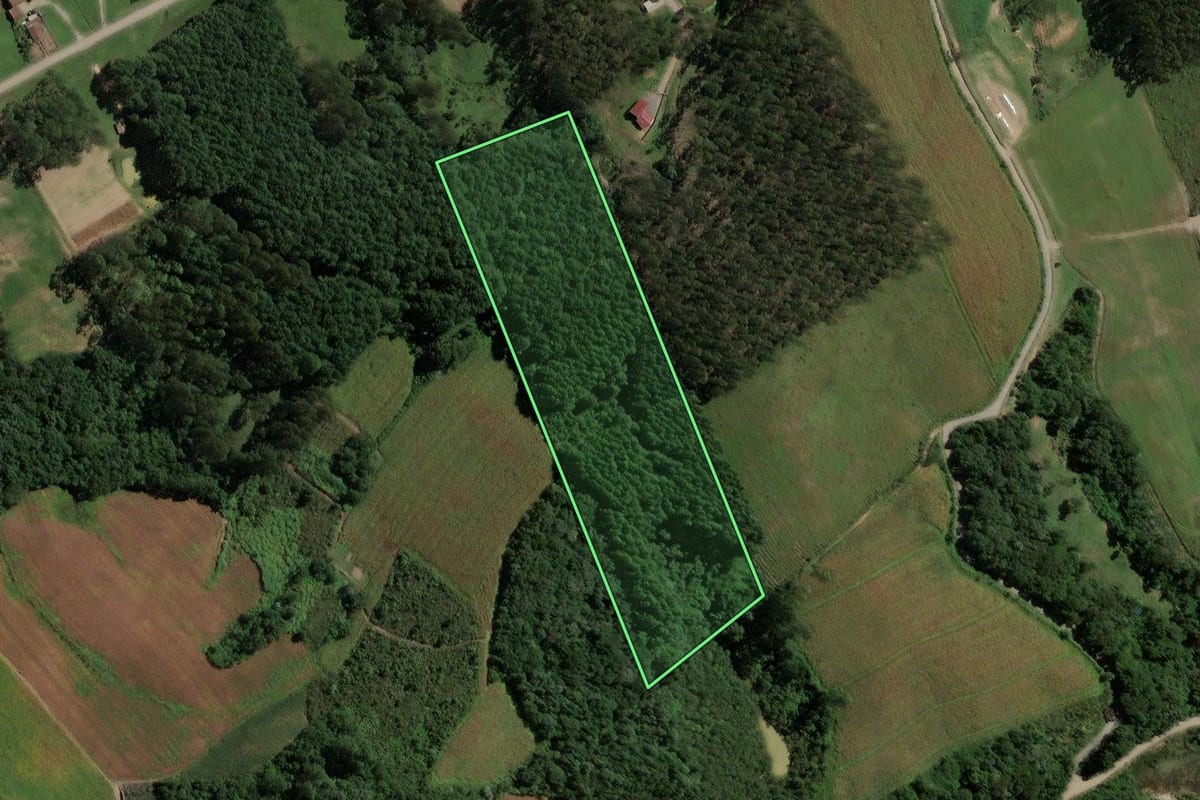 Imagem de satélite do imóvel rural em Rio do Campo (SC), com o contorno declarado no CAR desenhado por cima.