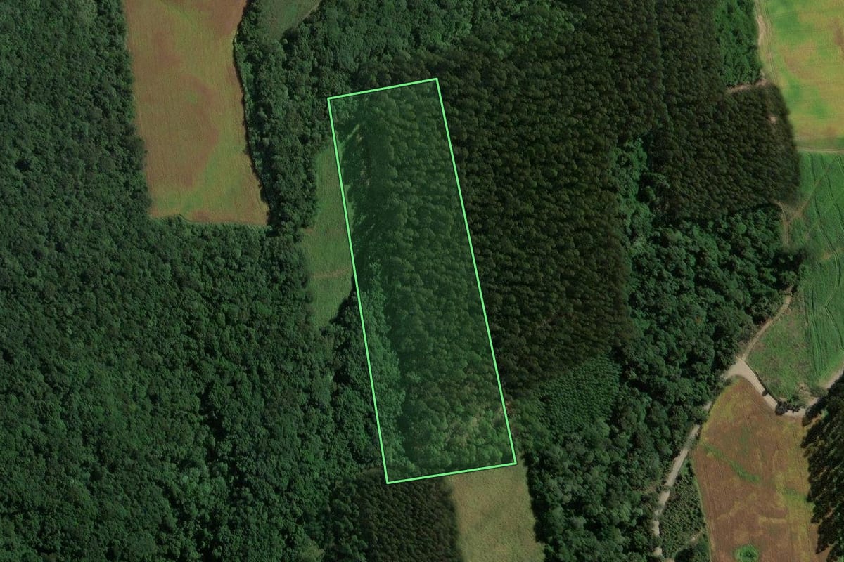 Imagem de satélite do imóvel rural em Rio do Campo (SC), com o contorno declarado no CAR desenhado por cima.