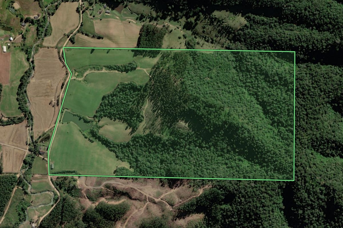 Imagem de satélite do imóvel rural em Rio do Campo (SC), com o contorno declarado no CAR desenhado por cima.