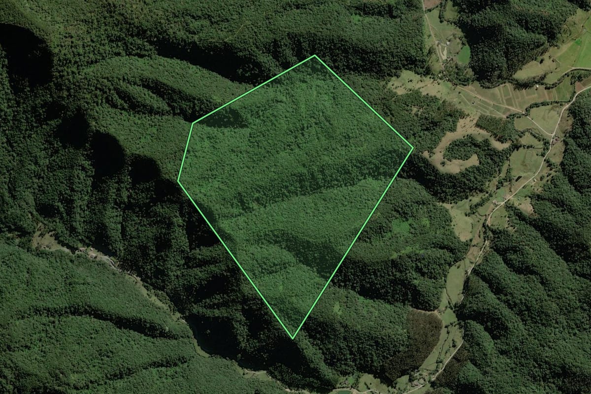Imagem de satélite do imóvel rural em Rio do Campo (SC), com o contorno declarado no CAR desenhado por cima.