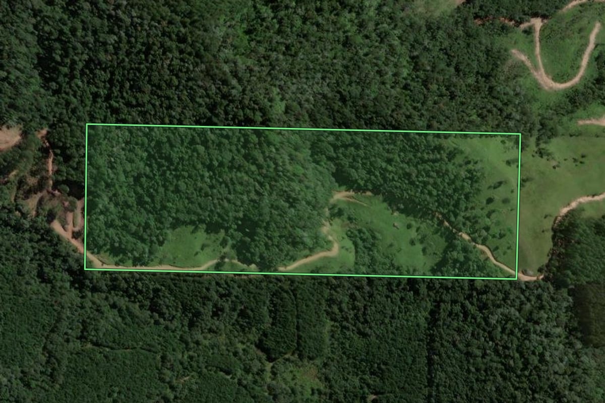 Imagem de satélite do imóvel rural em Rio do Campo (SC), com o contorno declarado no CAR desenhado por cima.
