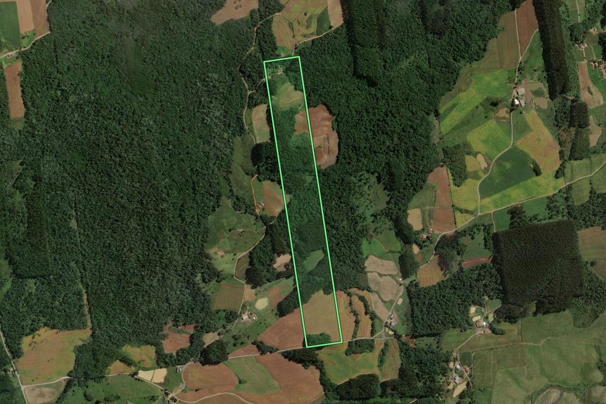 Imagem de satélite do imóvel rural em Rio do Campo (SC), com o contorno declarado no CAR desenhado por cima.