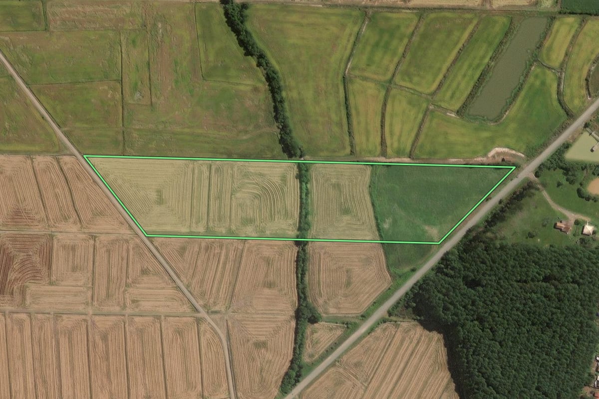 Imagem de satélite do imóvel rural em Rio do Campo (SC), com o contorno declarado no CAR desenhado por cima.