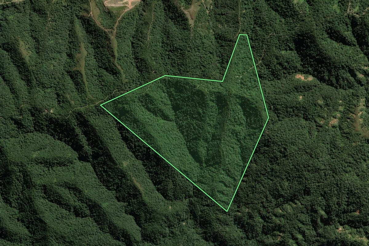 Imagem de satélite do imóvel rural em Rio do Campo (SC), com o contorno declarado no CAR desenhado por cima.