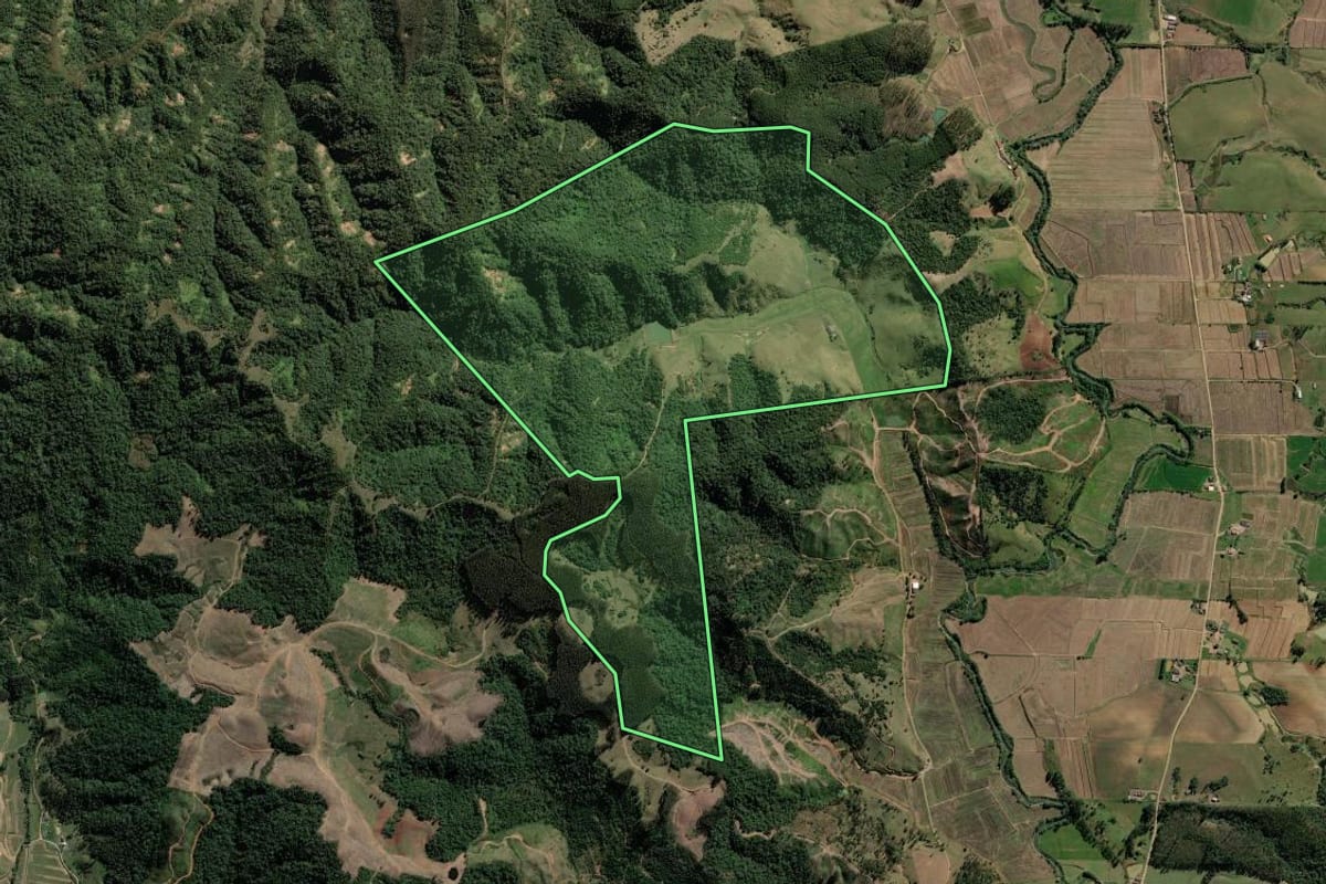 Imagem de satélite do imóvel rural em Rio do Campo (SC), com o contorno declarado no CAR desenhado por cima.
