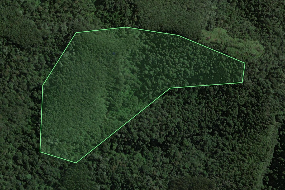 Imagem de satélite do imóvel rural em Rio do Campo (SC), com o contorno declarado no CAR desenhado por cima.