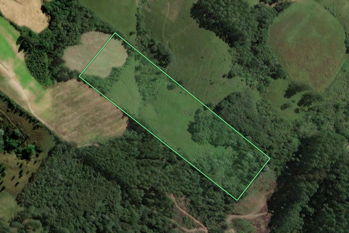 Imagem de satélite do imóvel rural em Rio do Campo (SC), com o contorno declarado no CAR desenhado por cima.