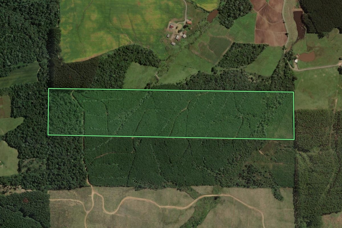 Imagem de satélite do imóvel rural em Rio do Campo (SC), com o contorno declarado no CAR desenhado por cima.