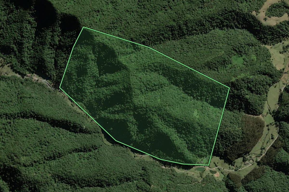 Imagem de satélite do imóvel rural em Rio do Campo (SC), com o contorno declarado no CAR desenhado por cima.