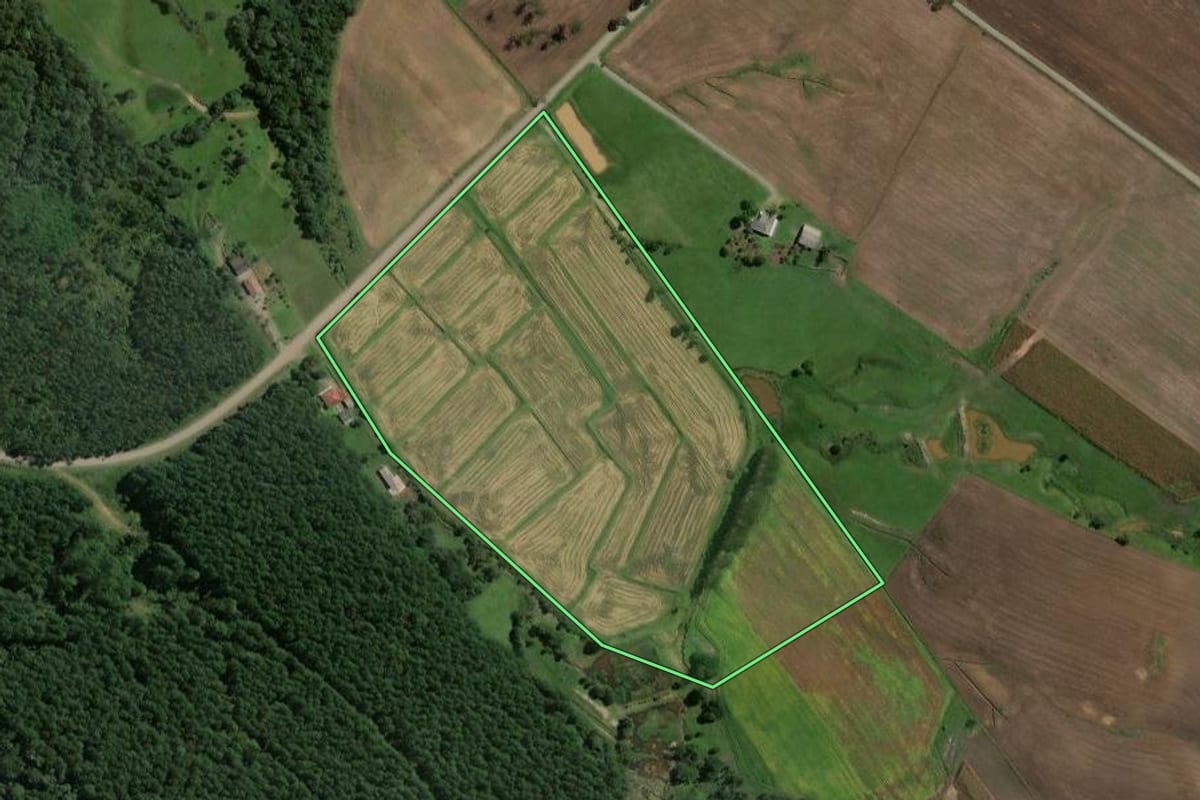 Imagem de satélite do imóvel rural em Rio do Campo (SC), com o contorno declarado no CAR desenhado por cima.
