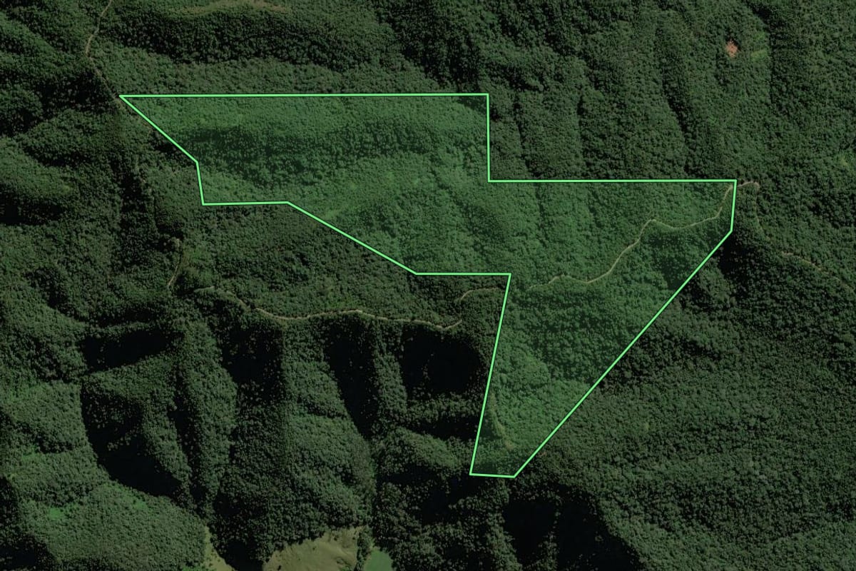 Imagem de satélite do imóvel rural em Rio do Campo (SC), com o contorno declarado no CAR desenhado por cima.