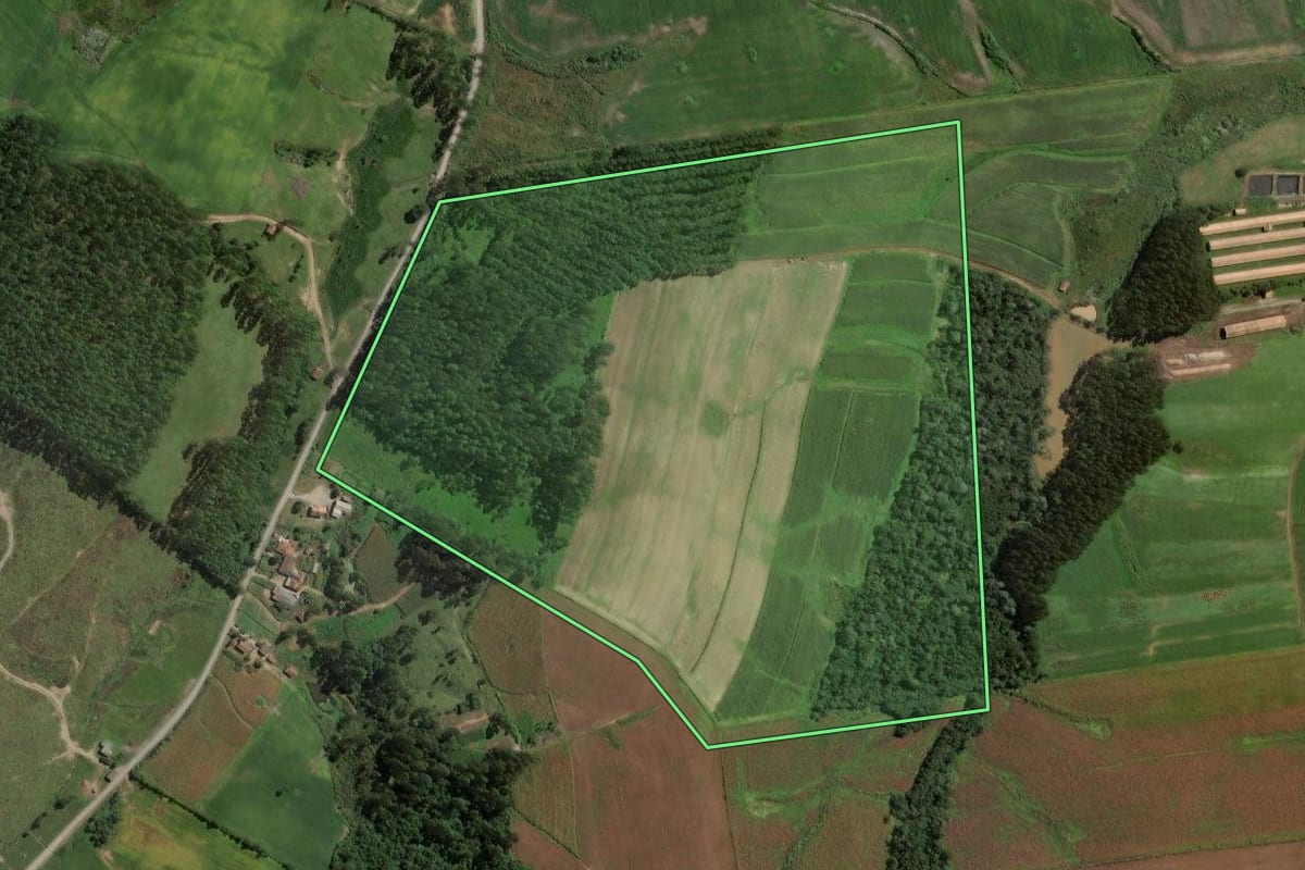 Imagem de satélite do imóvel rural em Rio do Campo (SC), com o contorno declarado no CAR desenhado por cima.