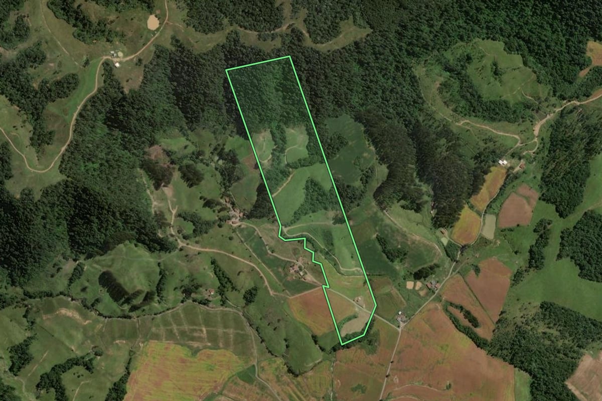 Imagem de satélite do imóvel rural em Rio do Campo (SC), com o contorno declarado no CAR desenhado por cima.