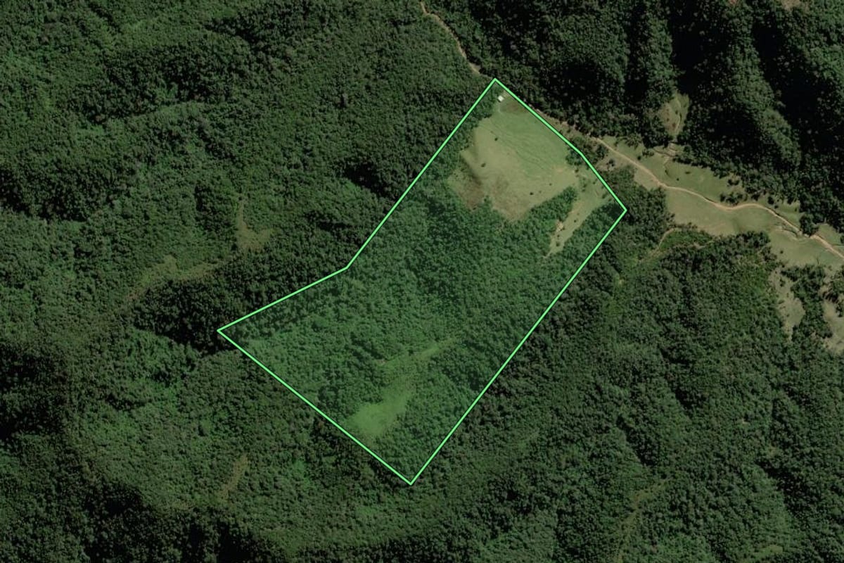 Imagem de satélite do imóvel rural em Rio do Campo (SC), com o contorno declarado no CAR desenhado por cima.