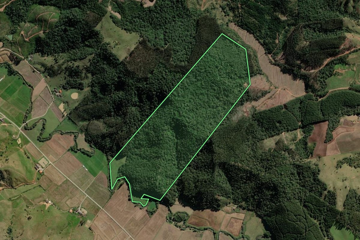 Imagem de satélite do imóvel rural em Rio do Campo (SC), com o contorno declarado no CAR desenhado por cima.