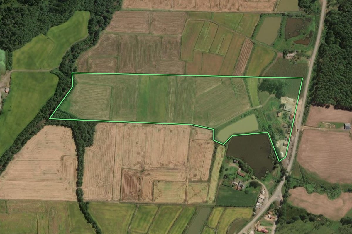 Imagem de satélite do imóvel rural em Rio do Campo (SC), com o contorno declarado no CAR desenhado por cima.