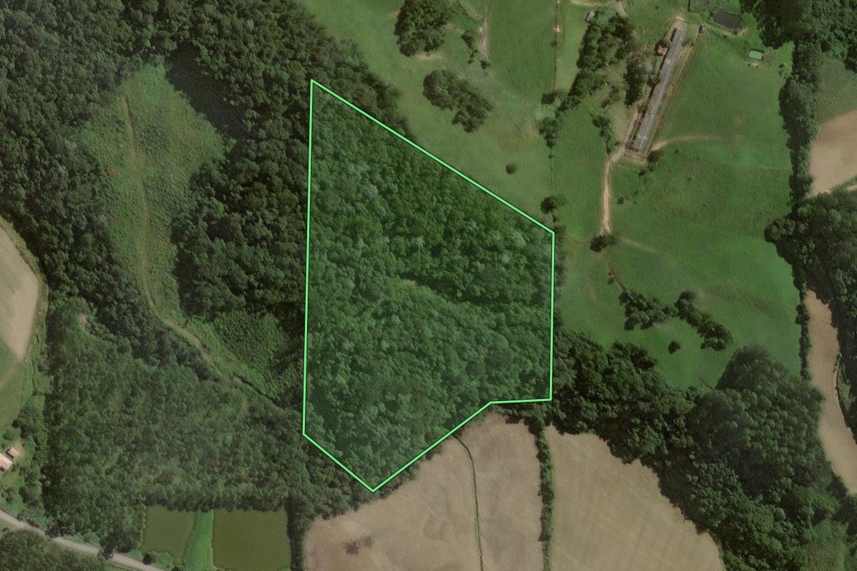 Imagem de satélite do imóvel rural em Rio do Campo (SC), com o contorno declarado no CAR desenhado por cima.
