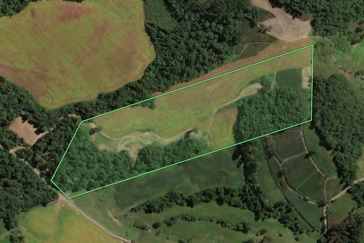 Imagem de satélite do imóvel rural em Rio do Campo (SC), com o contorno declarado no CAR desenhado por cima.