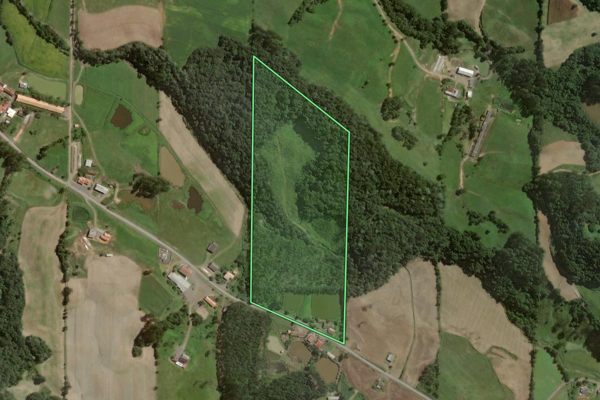 Imagem de satélite do imóvel rural em Rio do Campo (SC), com o contorno declarado no CAR desenhado por cima.