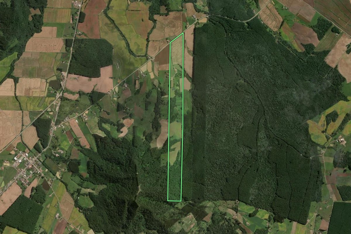 Imagem de satélite do imóvel rural em Rio do Campo (SC), com o contorno declarado no CAR desenhado por cima.