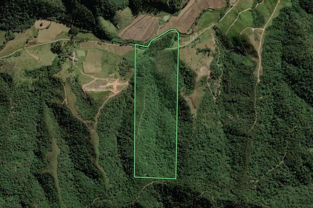 Imagem de satélite do imóvel rural em Rio do Campo (SC), com o contorno declarado no CAR desenhado por cima.
