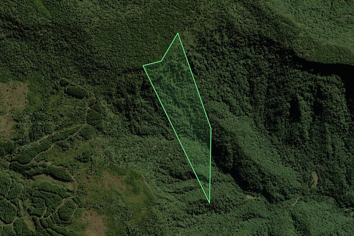 Imagem de satélite do imóvel rural em Rio do Campo (SC), com o contorno declarado no CAR desenhado por cima.