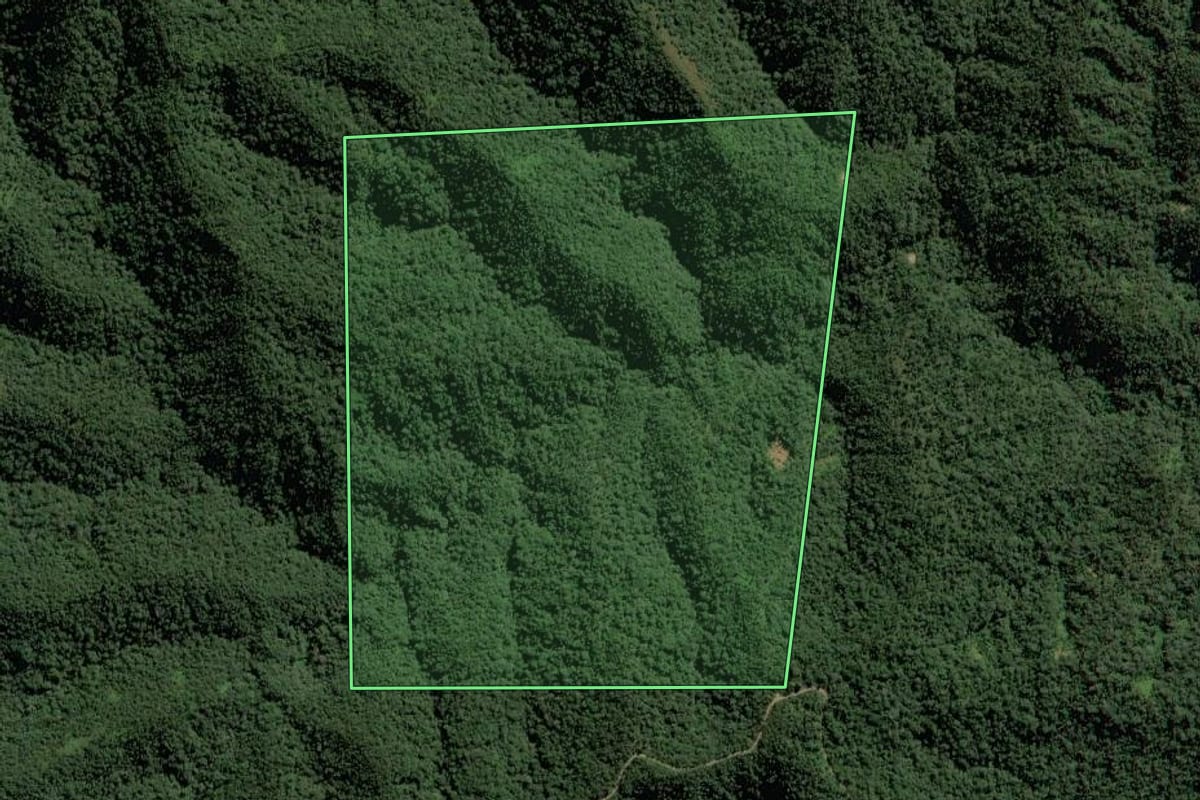 Imagem de satélite do imóvel rural em Rio do Campo (SC), com o contorno declarado no CAR desenhado por cima.