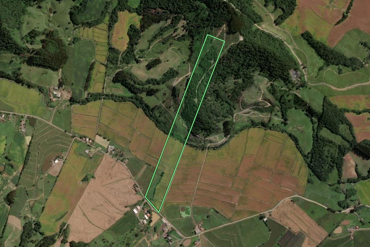 Imagem de satélite do imóvel rural em Rio do Campo (SC), com o contorno declarado no CAR desenhado por cima.