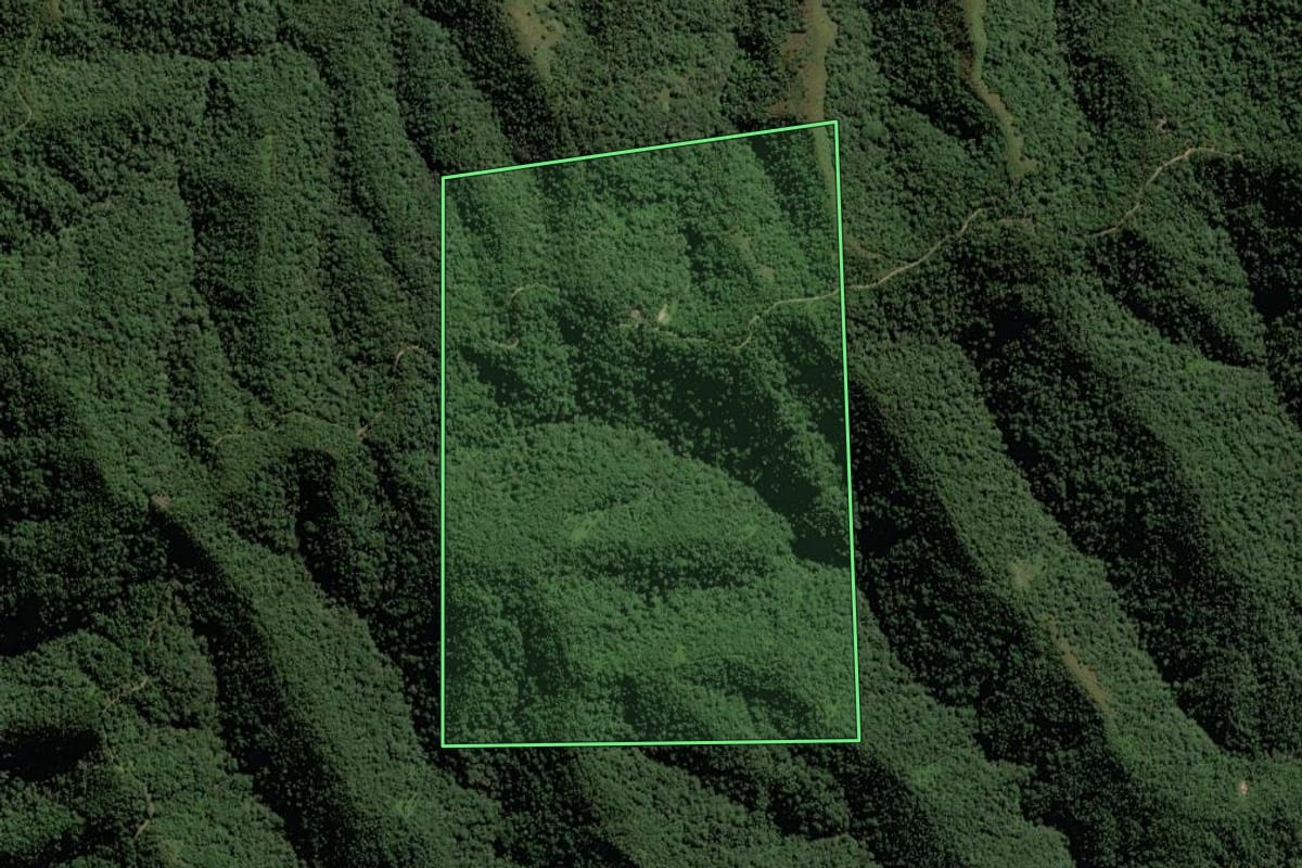 Imagem de satélite do imóvel rural em Rio do Campo (SC), com o contorno declarado no CAR desenhado por cima.