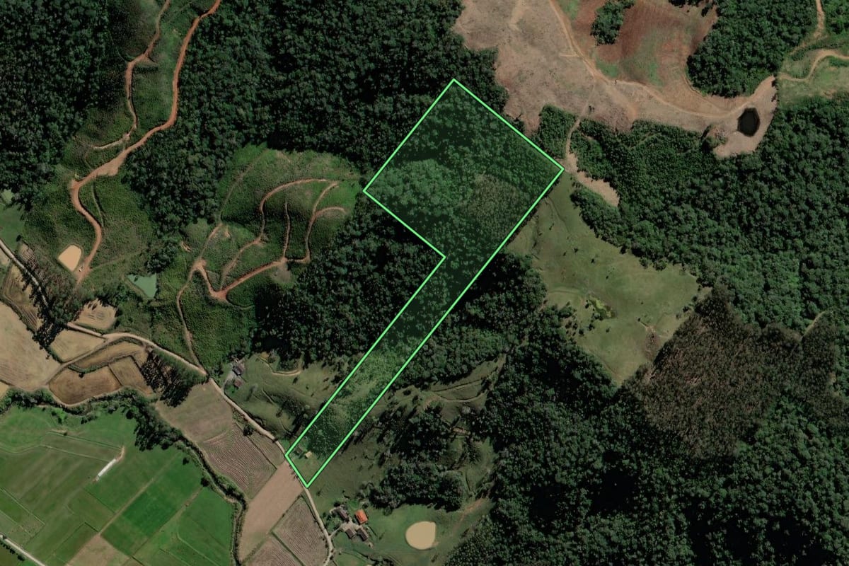 Imagem de satélite do imóvel rural em Rio do Campo (SC), com o contorno declarado no CAR desenhado por cima.