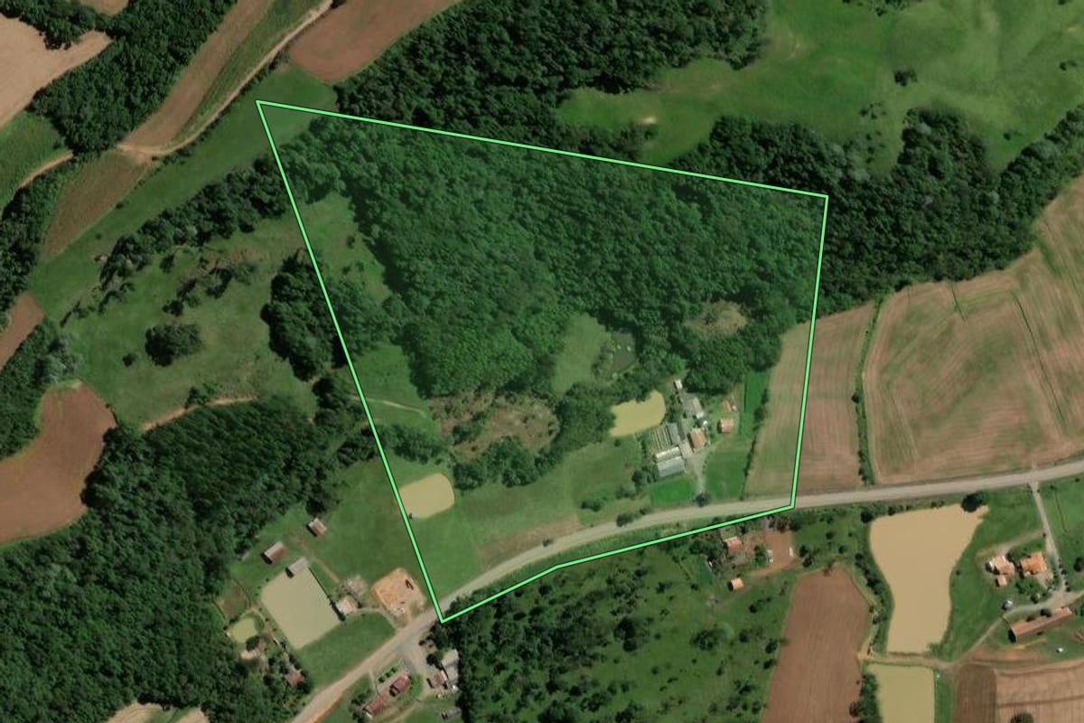 Imagem de satélite do imóvel rural em Rio do Campo (SC), com o contorno declarado no CAR desenhado por cima.