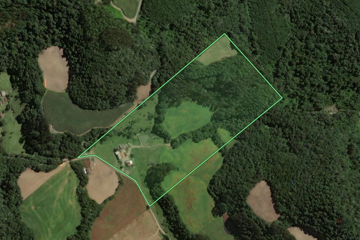 Imagem de satélite do imóvel rural em Rio do Campo (SC), com o contorno declarado no CAR desenhado por cima.