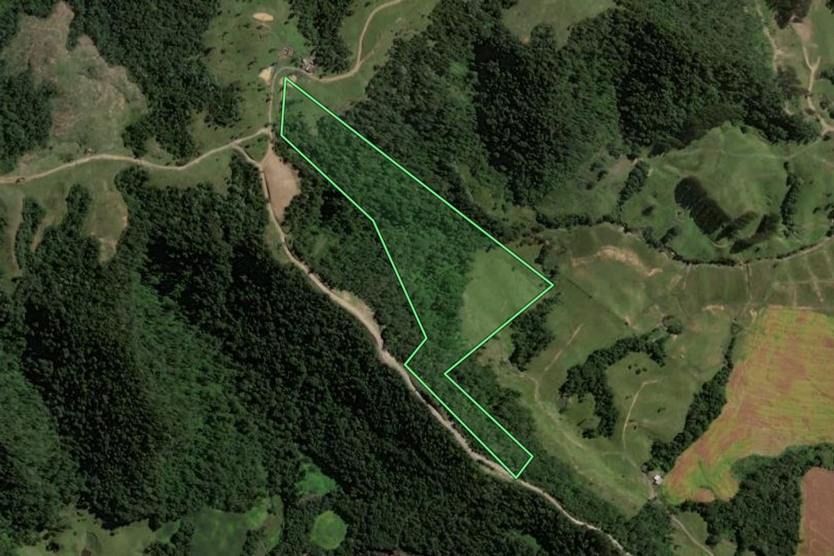 Imagem de satélite do imóvel rural em Rio do Campo (SC), com o contorno declarado no CAR desenhado por cima.