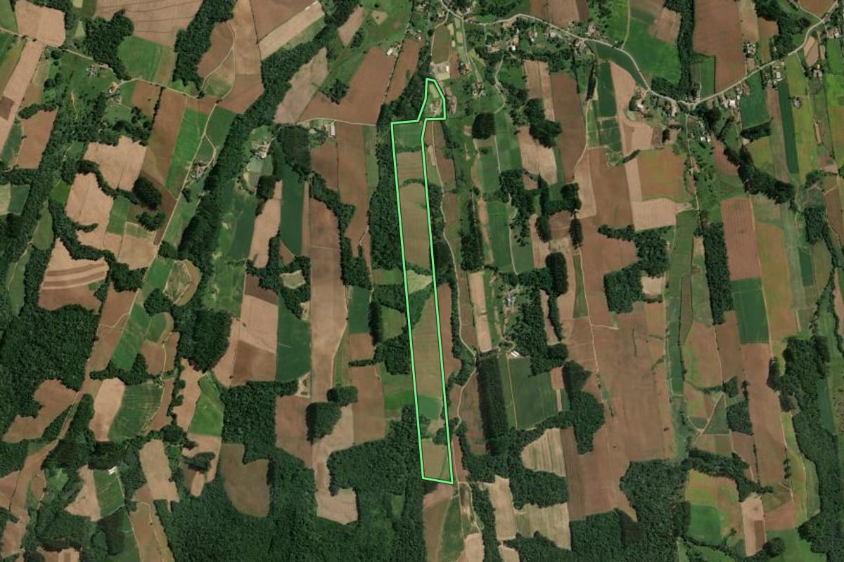 Imagem de satélite do imóvel rural em Rio do Campo (SC), com o contorno declarado no CAR desenhado por cima.