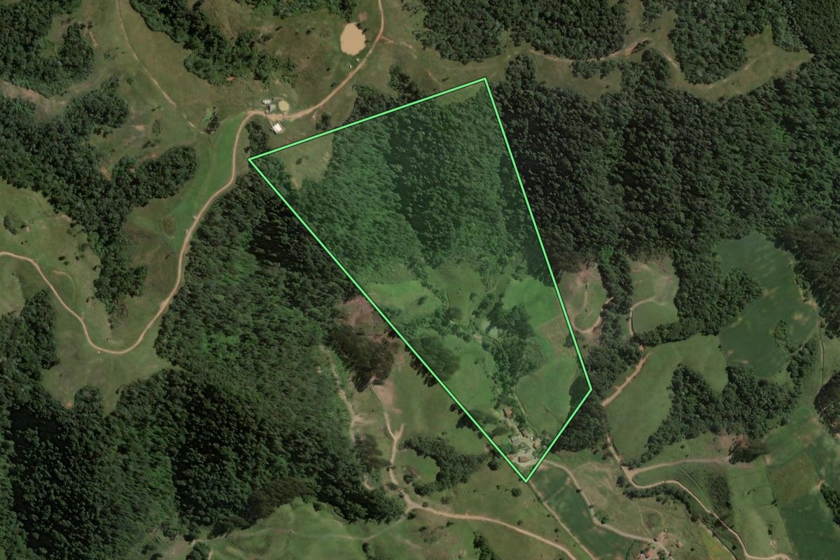 Imagem de satélite do imóvel rural em Rio do Campo (SC), com o contorno declarado no CAR desenhado por cima.