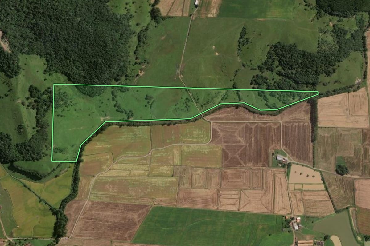 Imagem de satélite do imóvel rural em Rio do Campo (SC), com o contorno declarado no CAR desenhado por cima.