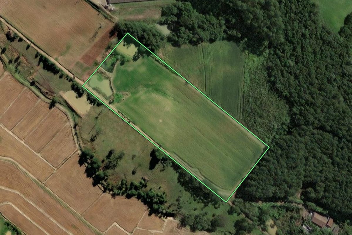 Imagem de satélite do imóvel rural em Rio do Campo (SC), com o contorno declarado no CAR desenhado por cima.