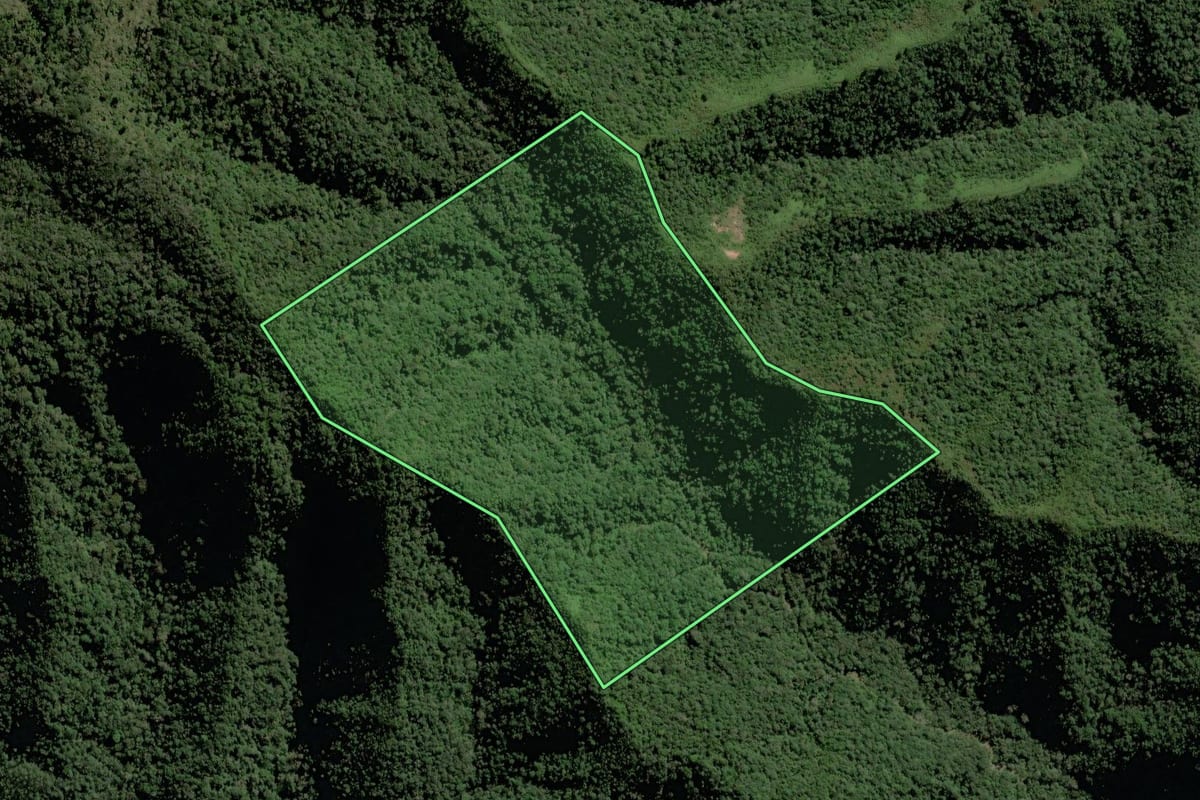 Imagem de satélite do imóvel rural em Rio do Campo (SC), com o contorno declarado no CAR desenhado por cima.