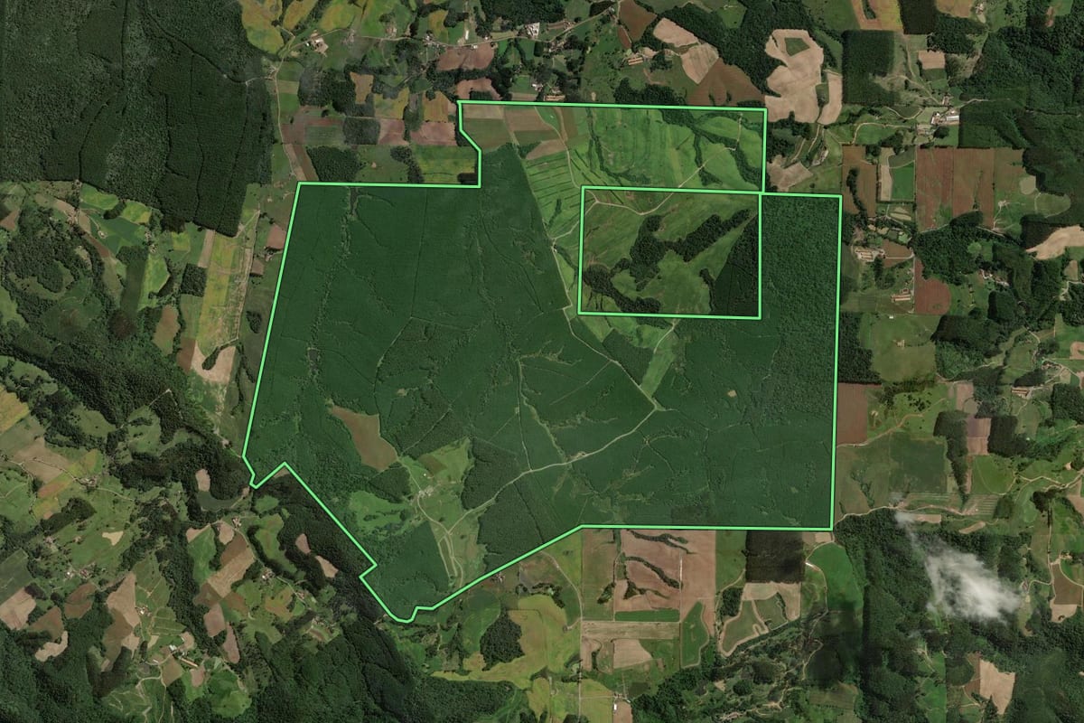 Imagem de satélite do imóvel rural em Rio do Campo (SC), com o contorno declarado no CAR desenhado por cima.