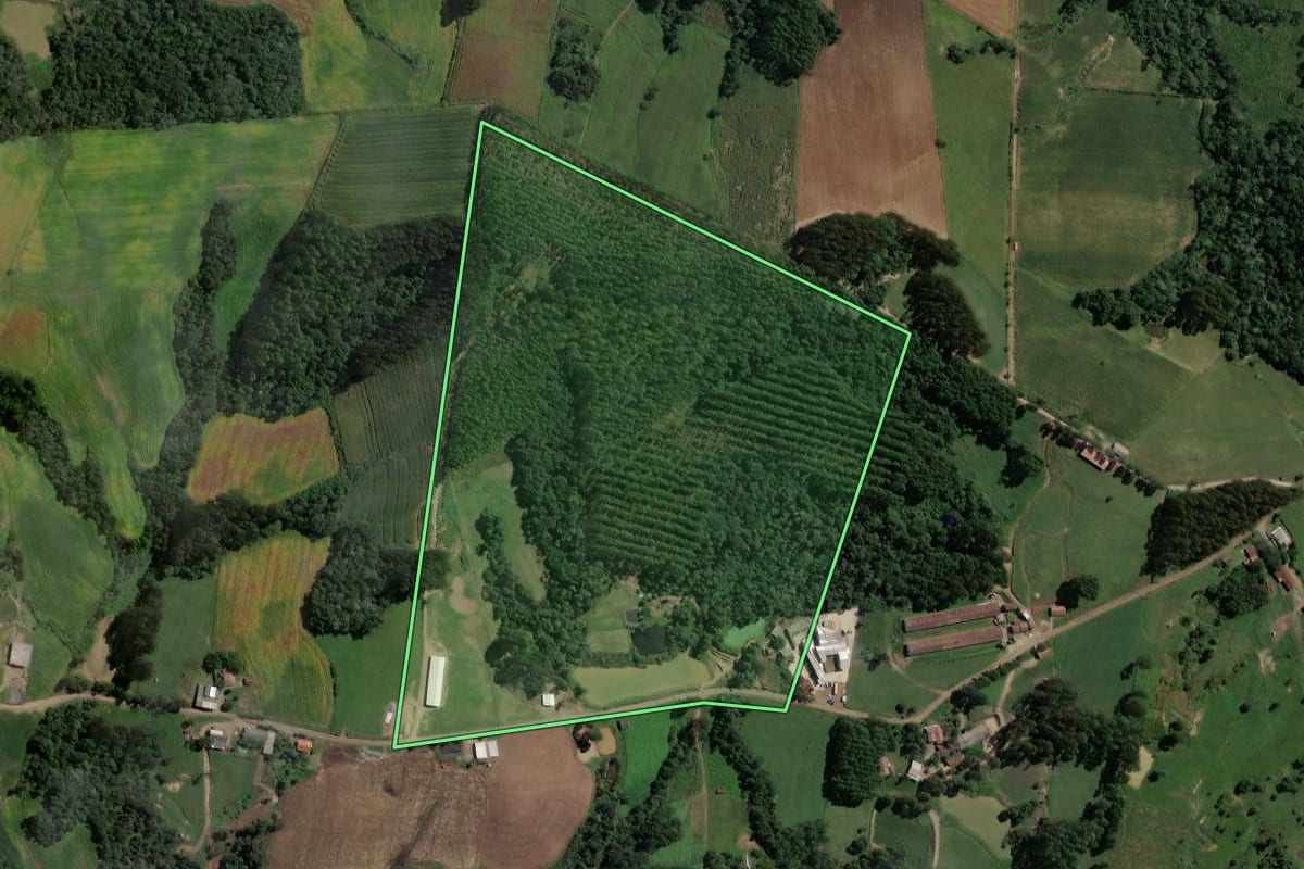 Imagem de satélite do imóvel rural em Rio do Campo (SC), com o contorno declarado no CAR desenhado por cima.