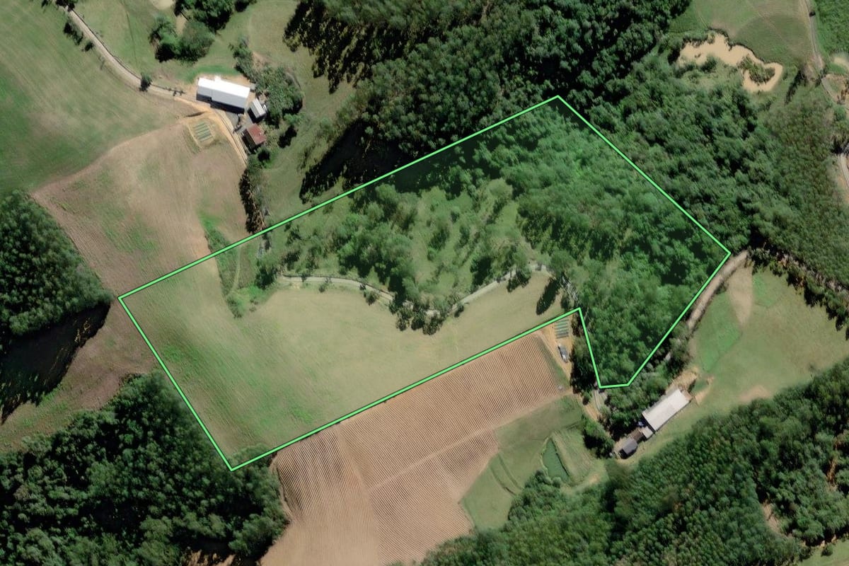 Imagem de satélite do imóvel rural em Rio do Oeste (SC), com o contorno declarado no CAR desenhado por cima.