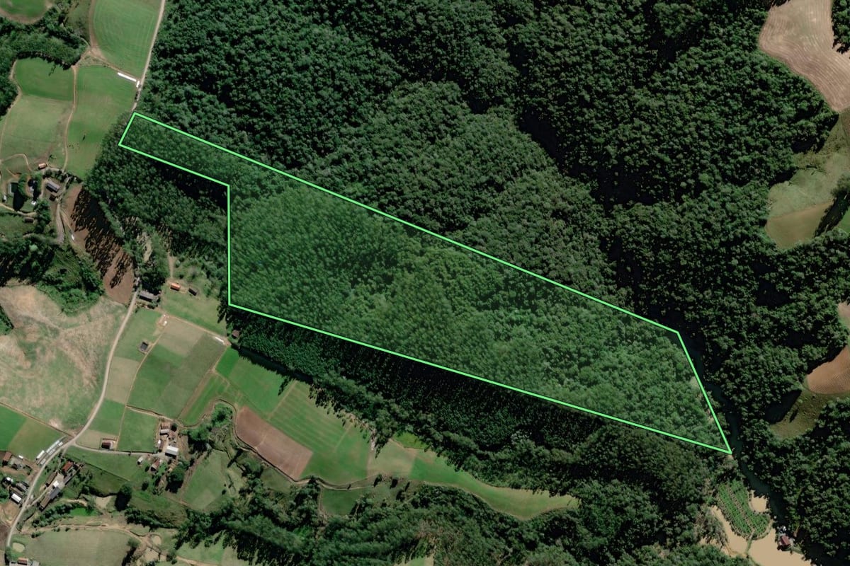 Imagem de satélite do imóvel rural em Rio do Oeste (SC), com o contorno declarado no CAR desenhado por cima.