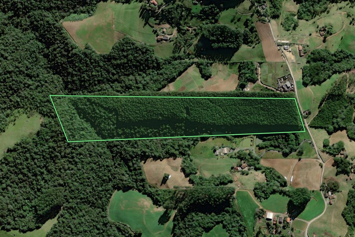 Imagem de satélite do imóvel rural em Rio do Oeste (SC), com o contorno declarado no CAR desenhado por cima.