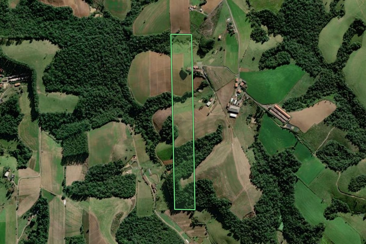 Imagem de satélite do imóvel rural em Rio do Oeste (SC), com o contorno declarado no CAR desenhado por cima.