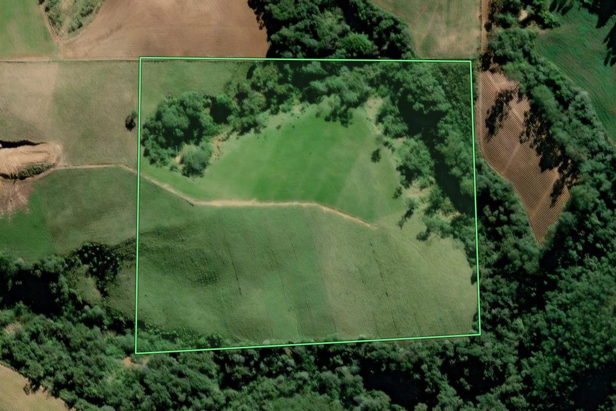 Imagem de satélite do imóvel rural em Rio do Oeste (SC), com o contorno declarado no CAR desenhado por cima.