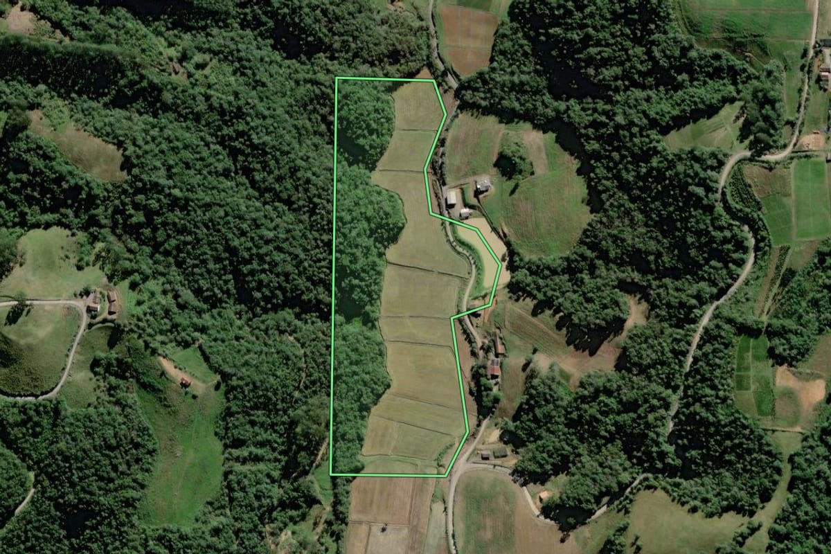 Imagem de satélite do imóvel rural em Rio do Oeste (SC), com o contorno declarado no CAR desenhado por cima.