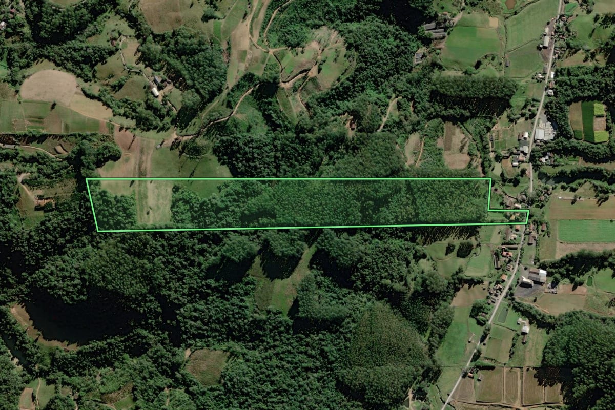 Imagem de satélite do imóvel rural em Rio do Oeste (SC), com o contorno declarado no CAR desenhado por cima.