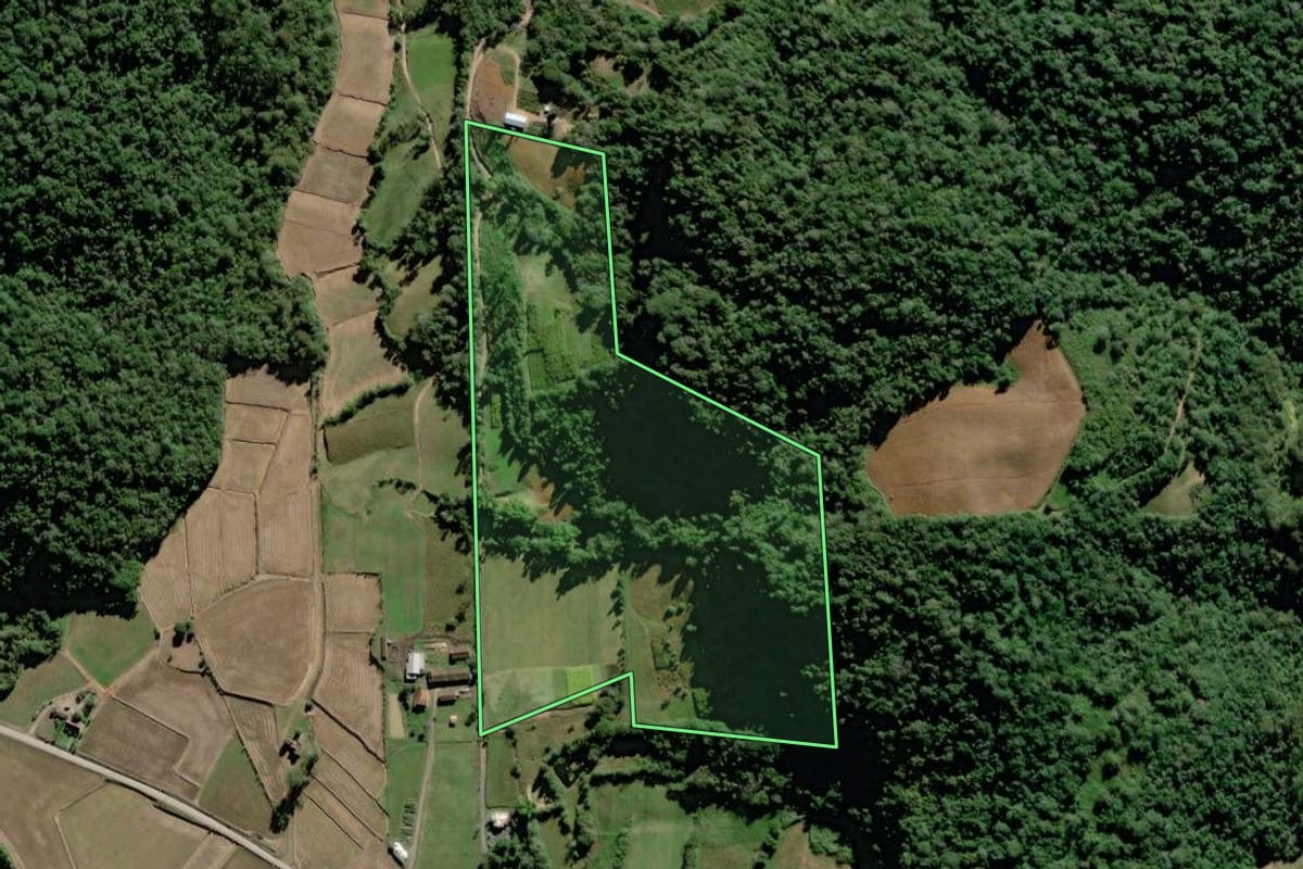 Imagem de satélite do imóvel rural em Rio do Oeste (SC), com o contorno declarado no CAR desenhado por cima.