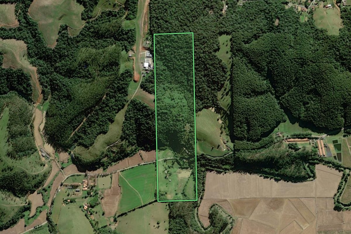 Imagem de satélite do imóvel rural em Rio do Oeste (SC), com o contorno declarado no CAR desenhado por cima.