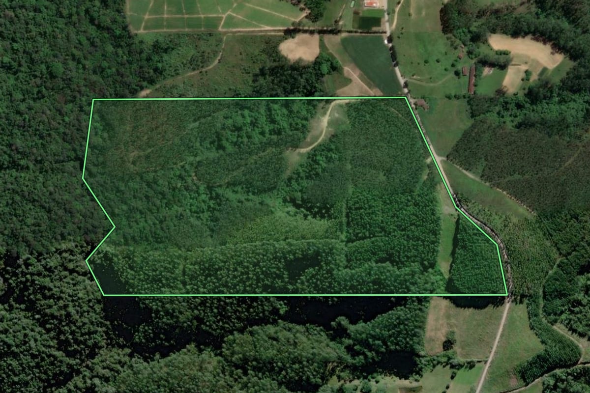 Imagem de satélite do imóvel rural em Rio do Oeste (SC), com o contorno declarado no CAR desenhado por cima.